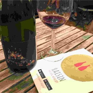 Tikka the Cosmic Cat - Jauma Wine - Denise & James Erskine 