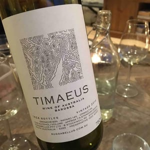 Timaeus - Ruggabellus - Abel Gibson & Emma Epstein 