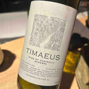 Timaeus - Ruggabellus - Abel Gibson & Emma Epstein 