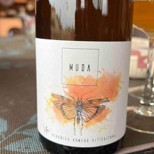 Muda 2021 - No Se - Veronica Romero