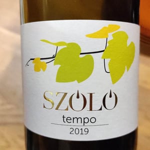 Tempo - Szóló Wine - timea-eless