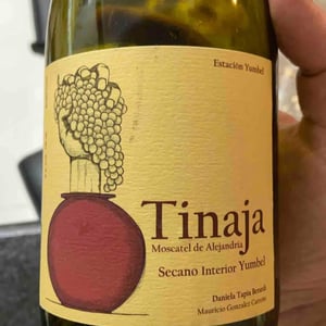 Tinaja - Agricola Estación Yumbel - Mauricio Gonzalez Carreño 