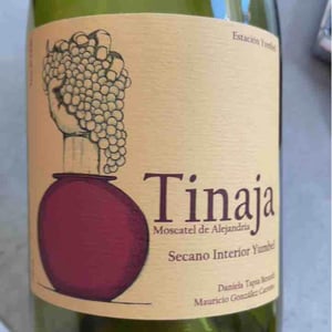 Tinaja - Agricola Estación Yumbel - Mauricio Gonzalez Carreño 