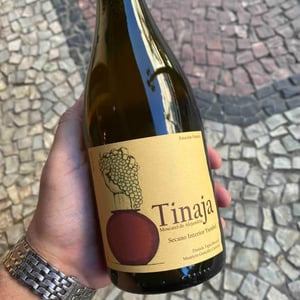 Tinaja - Agricola Estación Yumbel - mauricio-gonzalez-carreno