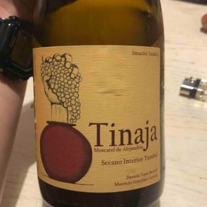 Tinaja - Agricola Estación Yumbel - mauricio-gonzalez-carreno