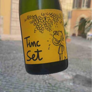 Tinc Set - Ramon Jané Viticultor - ramon-jane