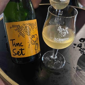 Ramon Jané Viticultor - Ramón Jané - Tinc Set