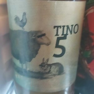 Tino 5 - Robb de Matt - gabriele-calabrese-gaetano-palumbo