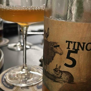 Tino 5 - Robb de Matt - gabriele-calabrese-gaetano-palumbo