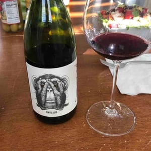 Tinto Del Mono - Passionate Wine - matias-michelini-ve