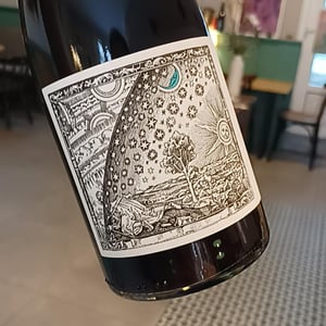 Tinto ilexítimo - Bodegas Bhilar - melanie-hickman-david-sampedro -2021