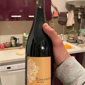 Tintorela - Domaine Ribiera - Christine & Régis Pichon 