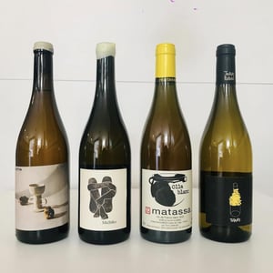 Tiques - Celler Cal Tiques - joan-rubio