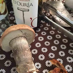 Tire Bouchon Rouge (2017 new label) - Domaine D’Ourea - adrien-roustan