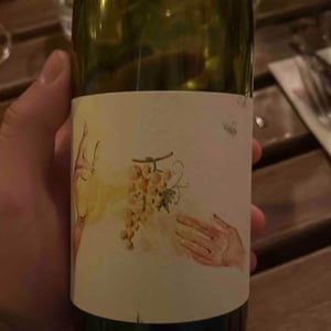 Tizurin X Sons Of Wine - Vin des Potes - Basile Passe 