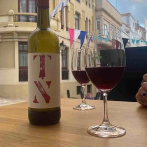 TN Tinto Natural - Partida Creus - Massimo Marchiori & Antonella Gerosa 