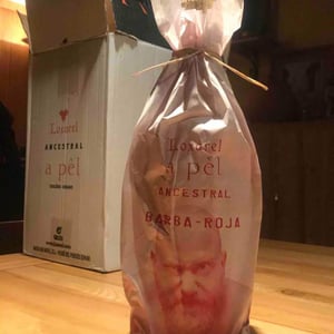 Loxarel - Josep Mitjans - A Pèl