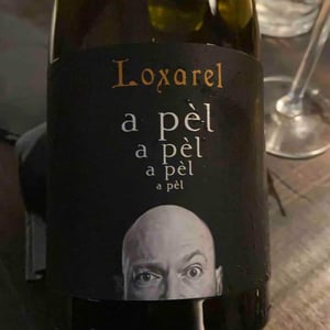A Pèl - Loxarel - Josep Mitjans 