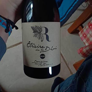 Verdesse - Domaine Des Rutissons - Laurent Fondimare et Wilfrid Debroize 