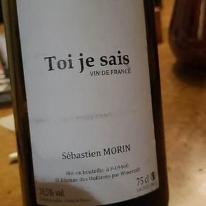 Toi Je Sais - Maï Lam et Sébastien Morin - mai-lam-et-sebastien-morin -2021