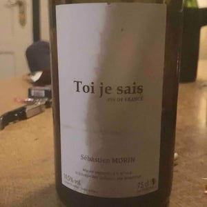 Toi Je Sais - Maï Lam et Sébastien Morin - mai-lam-et-sebastien-morin -2021