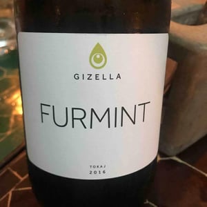 Tokaji Furmint - Weinbau Michael Wenzel - Michael Wenzel 
