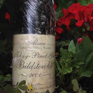 Tokay - Pinot Gris Bildstoecklé - Gérard Schueller & Fils - Bruno Schueller 