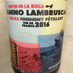Tolmino Lambruscaio 2016