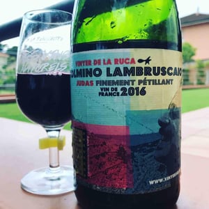Tolmino Lambruscaio - Vinyer de la Ruca - Manuel di Vecchi Staraz 