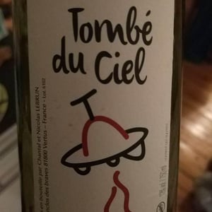 Tombé Du Ciel (Rouge) - L'enclos Des Braves - chantal-nicolas-lebrun