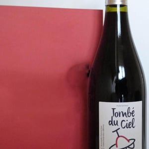 Tombé Du Ciel (Rouge) - L'enclos Des Braves - chantal-nicolas-lebrun