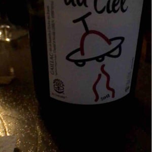 L'enclos Des Braves - Chantal & Nicolas Lebrun - Tombé Du Ciel (Rouge)