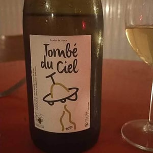 Tombé Du Ciel (Rouge) - L'enclos Des Braves - chantal-nicolas-lebrun
