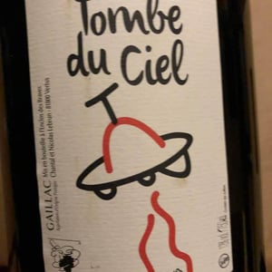 Tombé Du Ciel (Rouge) - L'enclos Des Braves - chantal-nicolas-lebrun
