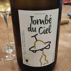 Tombé Du Ciel (Rouge) - L'enclos Des Braves - chantal-nicolas-lebrun