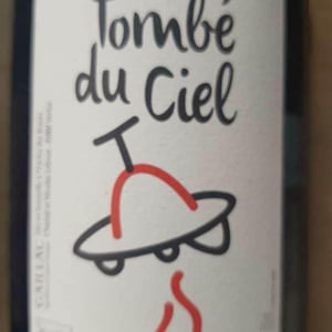 Tombé Du Ciel (Rouge) - L'enclos Des Braves - chantal-nicolas-lebrun