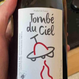 Tombé Du Ciel (Rouge) - L'enclos Des Braves - chantal-nicolas-lebrun
