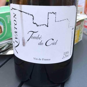 Tombé du ciel