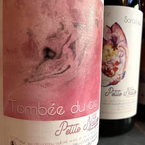 Tombée du Ciel - Petite Nature - pauline-maziou