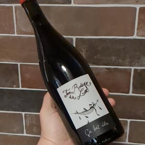Ton Rouge Du Lac - Ça Boit Libre - damien-bastian-goddard -2020