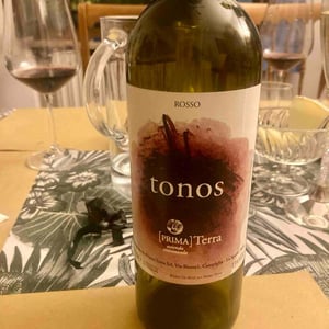Tonos - Primaterra - walter-de-batte-1j