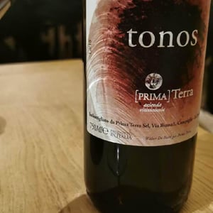 Tonos - Primaterra - Walter De Batté 