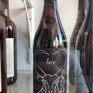 Toro - Il Ceo - Davide Andreatta 