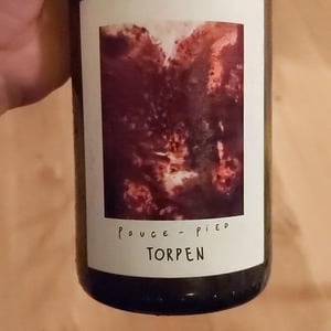 Torpen - Pouce-Pied - Sébastien Lincy et Corentin Allot -2023