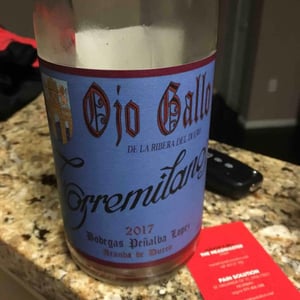Torremilanos - Bodega Peñalba Lopez - finca-torremilanos