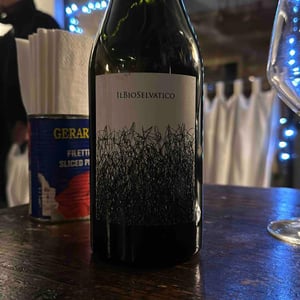 Bioselvatico Sangiovese - Bioselvatico di Filippo Volpi - Filippo Volpi -2019