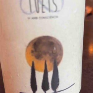 Tot - Celler Tuets - Albert Domingo 