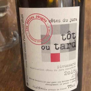 Les Bottes Rouges - Florien Klein Snuverink & Jean-Baptiste Menigoz - Tôt ou Tard