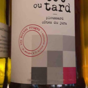 Tôt ou Tard - Les Bottes Rouges - florien-klein-snuverink-jean-baptiste-menigoz