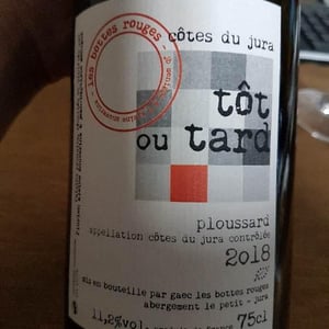 Les Bottes Rouges - Florien Klein Snuverink & Jean-Baptiste Menigoz - Tôt ou Tard